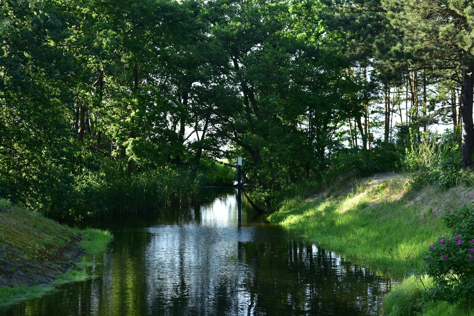 Bukowno zyska nowe tereny zielone dzięki dotacji
