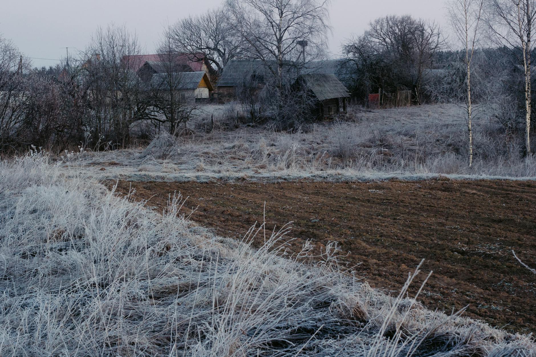 Osoba sadząca rośliny w ogrodzie na tle zieleni w Bukownie